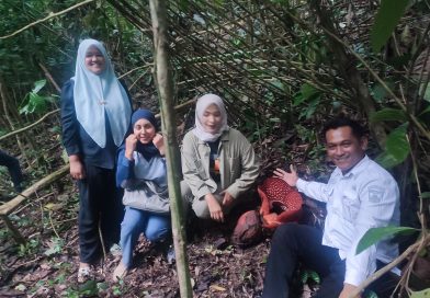 Bunga Raflesia tumbuh di Panorama Baru Bukittinggi